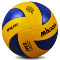 Volleyball ikon